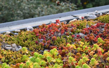 the cost of Dyffryn Bern green roof installation