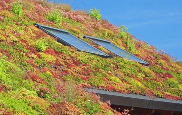 Dyffryn Bern living roof systems
